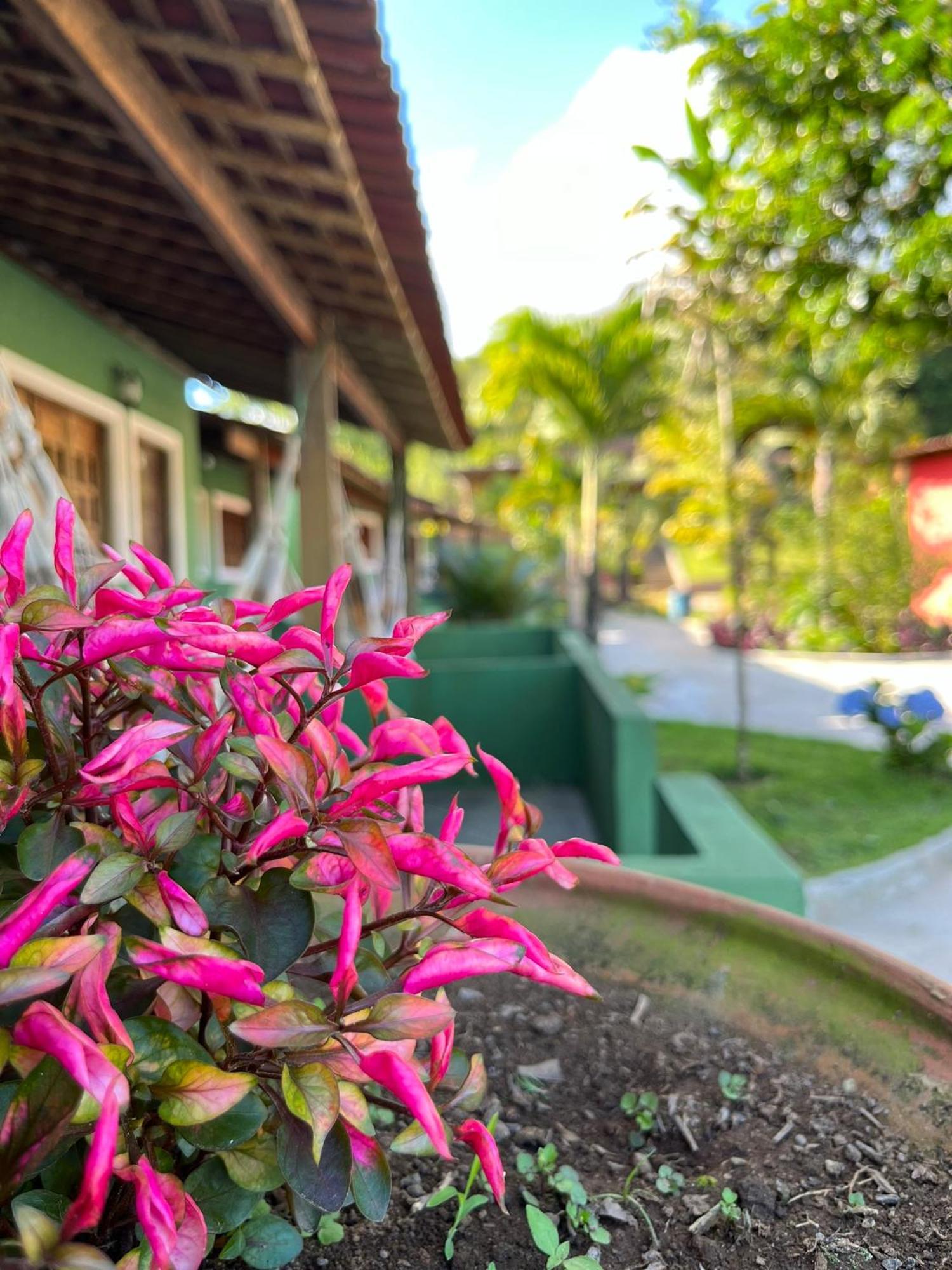 Pousada E Restaurante Alto Da Serra โบนีโต ภายนอก รูปภาพ