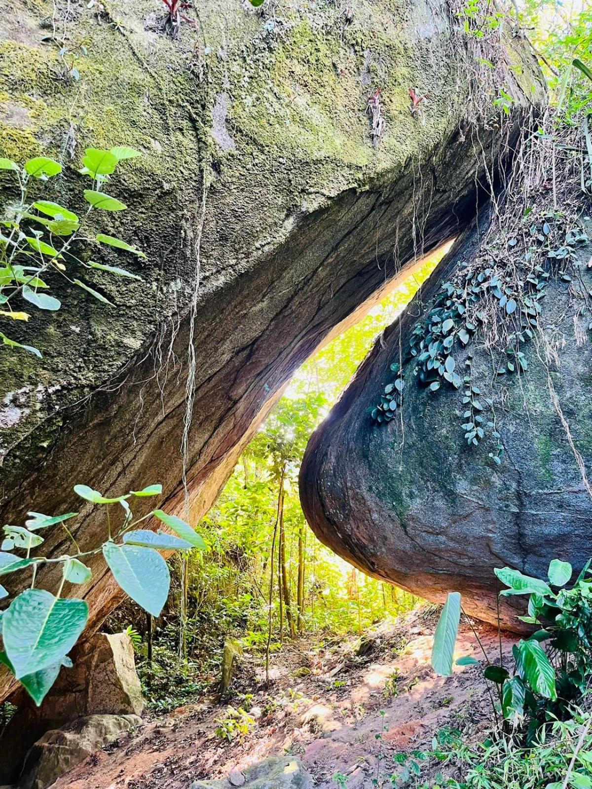 Pousada E Restaurante Alto Da Serra โบนีโต ภายนอก รูปภาพ
