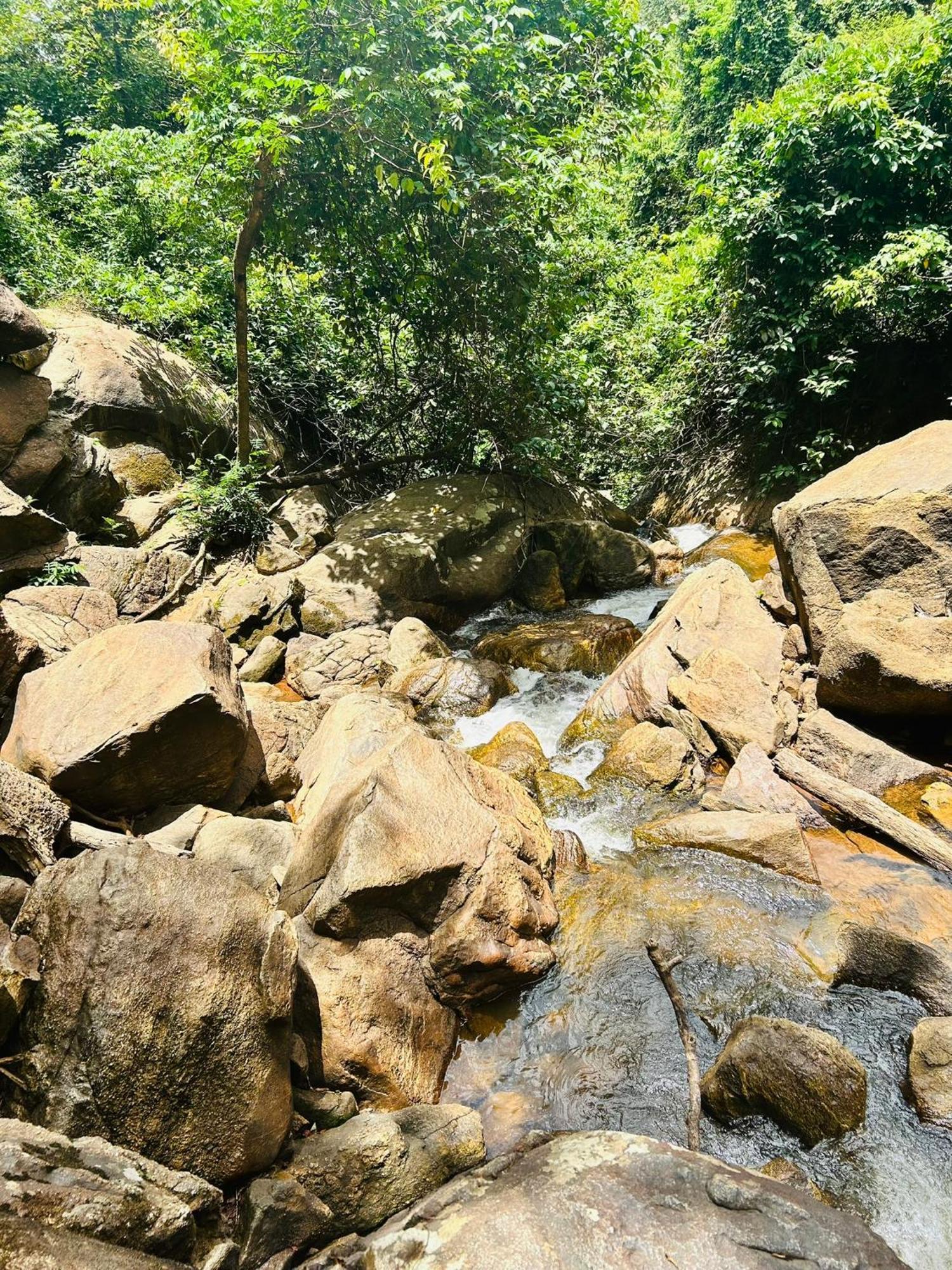 Pousada E Restaurante Alto Da Serra โบนีโต ภายนอก รูปภาพ