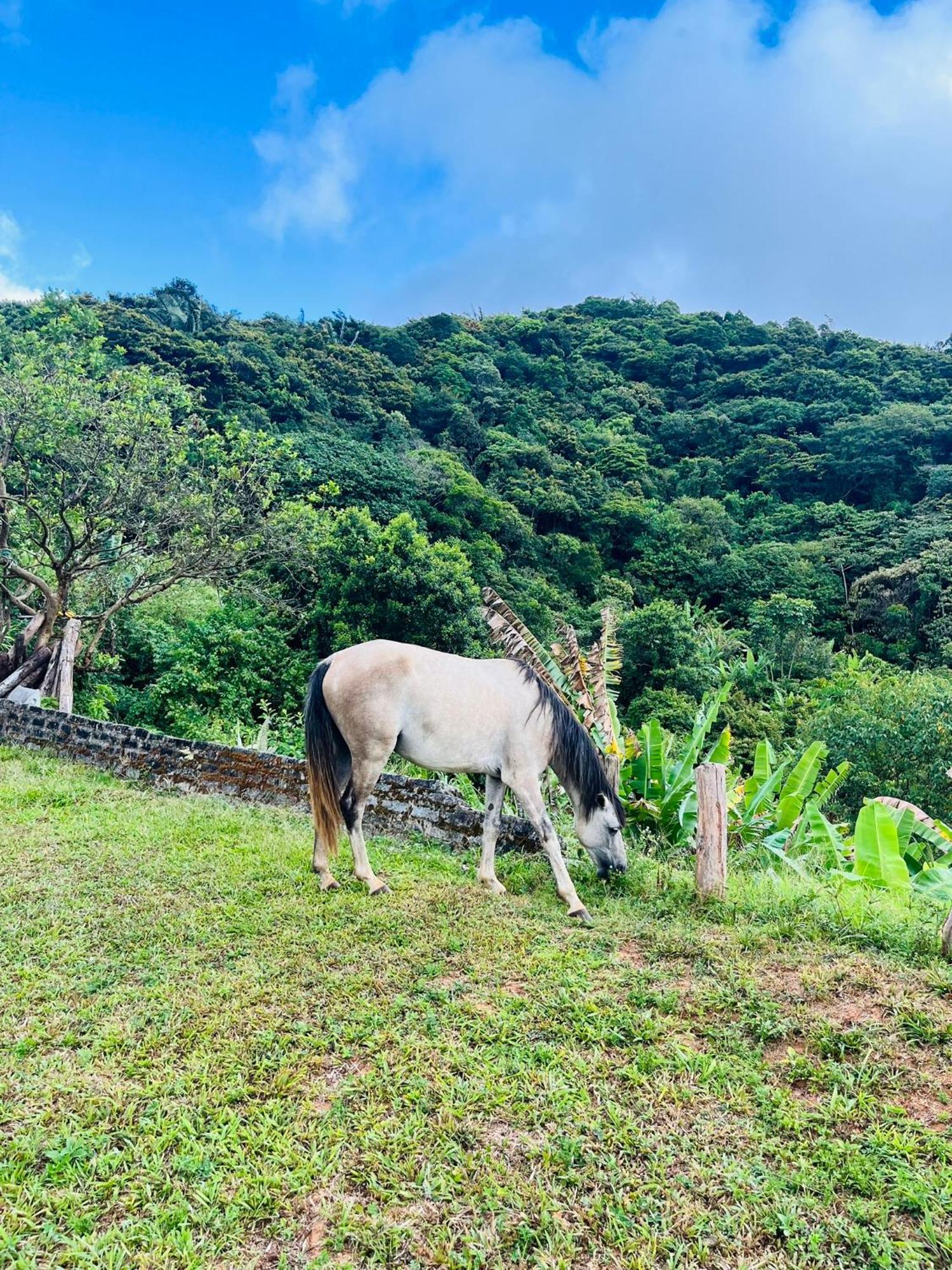Pousada E Restaurante Alto Da Serra โบนีโต ภายนอก รูปภาพ
